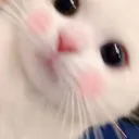 pixiekittie