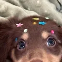 dotcubed