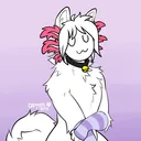 foxsnow.