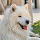 avatar !! 𝗡𝗥𝗕 𝘿𝙞𝙚𝙜𝙤 🌴