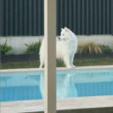 avatar !! 𝗡𝗥𝗕 𝘿𝙞𝙚𝙜𝙤 🌴