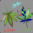 mikeemory7055