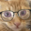 catooonz