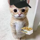 sirnugget_