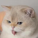 Jeaaaa