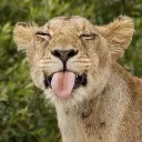 xsantoryuchillxx avatar