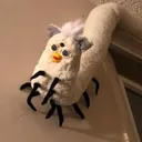 pl00h