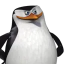 thiagoowwww_