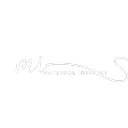 maternal_instinct