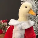 _chiefduck