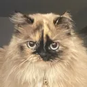 garfield_l0ver