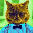 mykoart