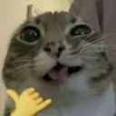 rawwz_