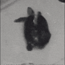 avatar Hermine Ramsey