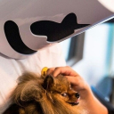 avatar someonefromsomewhere