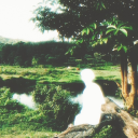 lucidinterlude