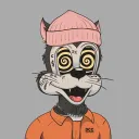 andykodaksdyn