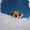 joe_wan