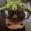 hnyyas