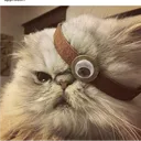 markllarr