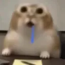 eggsyxz01