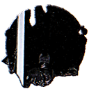 avatar ☆⌒( ) ivy . [ " 💽⚰ " ]