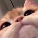 axymochi