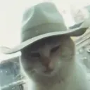 captainbogz