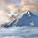 unwieldycat