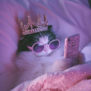 avatar thisisnother_