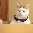 ramiregato