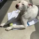 powerfull_godd avatar