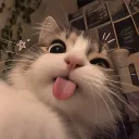 .dxlzz