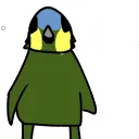 shyvepcurioso13015
