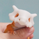 shikun0930974's Avatar