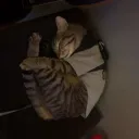 sliceofjes