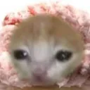 sliceofjes