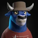 imgreydil