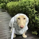 carlosthenpc