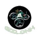 gizlonk