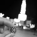 ohv_vieh