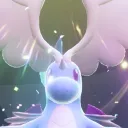 kodadeer