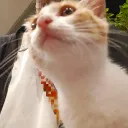 ettagg01