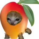.michimango avatar