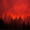 Аватар sigma.a.