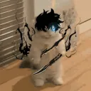 revampofbirdv2