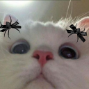 avatar 𝕾𝖓𝖆𝐤𝖚𝖎𝖘