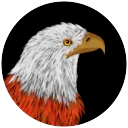 speedyfireeagle