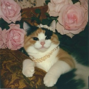 howisbri member profile picture