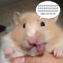 krmooni